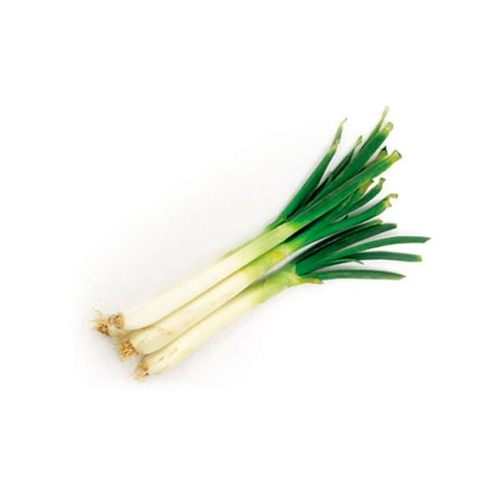 Amarilla Cebolla Blanca Malla
