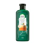 Shampoo Aloe & Mango Herbal & Essences Shampoo 400 Ml