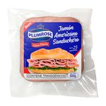 Plumrose Jamon Sanduchero Americano Tipo II 500 G