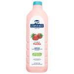 Chiveria Yogurt Frutilla 1700 Gr