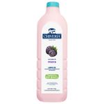 Chiveria Yogurt Mora 1700 Gr