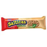 Galletas Integrales Salticas 66Gr