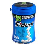 Chicle Trident Menta Botella 45.5G