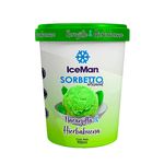 Sorbeto Naranjilla & Hierbabuena Iceman 900M