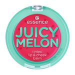 Tinta De Labios Y Mejillas Juicy Melon Essence 3GR