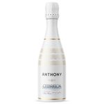 Vino Blanco Espumante Dulce Anthony Celebration 187.5ML