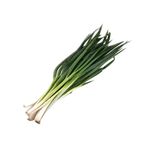Cebolla Blanca Con Tierra Uni