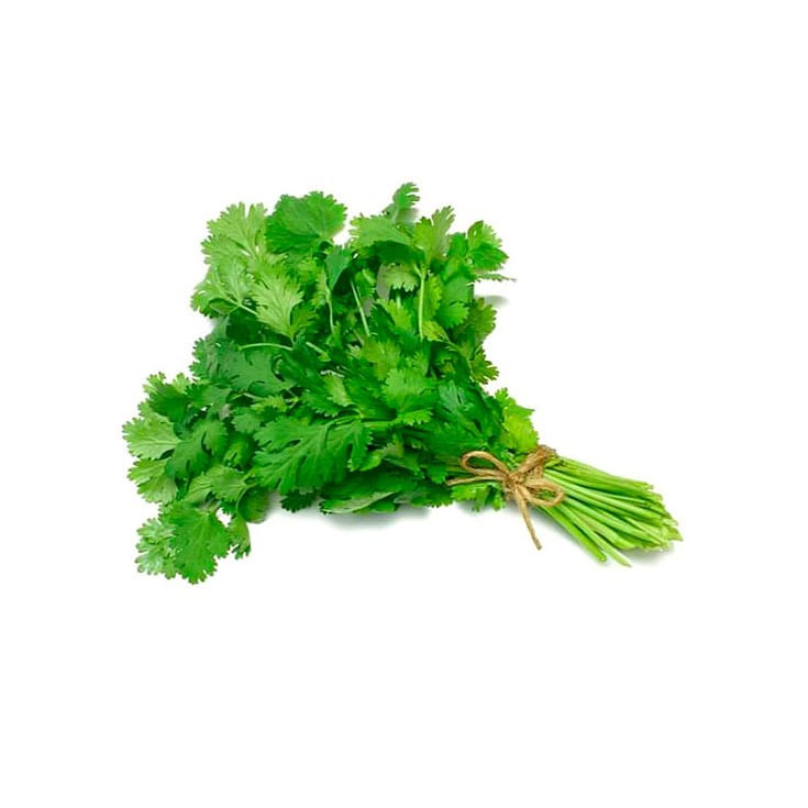 Cilantro Atado Uni
