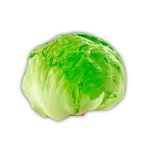 Lechuga Uni