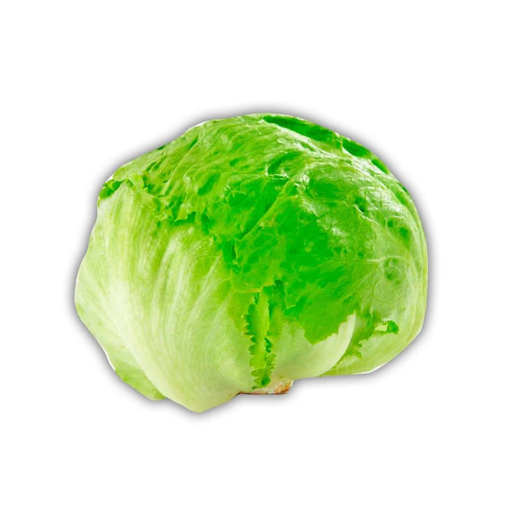 Lechuga Uni