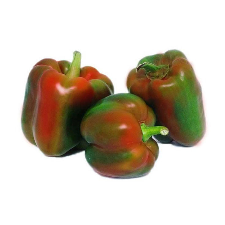Pimiento Rojo/Verde Kg