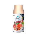 Ambiental aerosol repuesto manzana&canela Glade