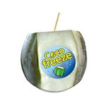 Coco Tierno Coco Freeze Uni