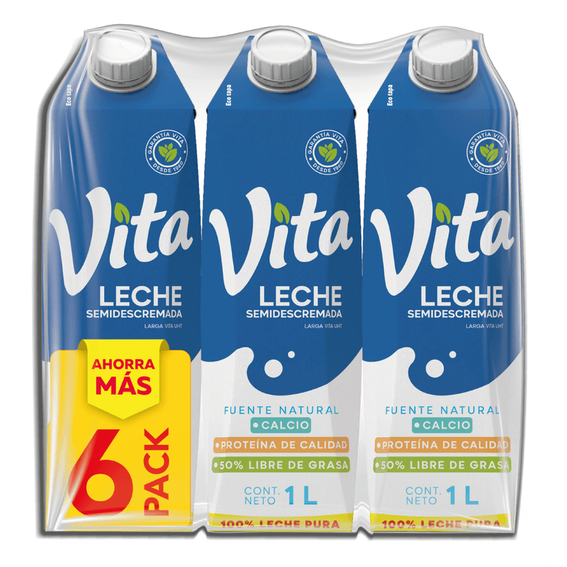 Cartón Leche Semidescremada Vita x6 Un.