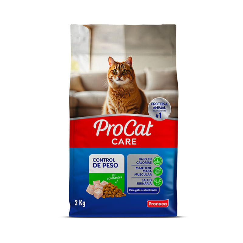Principal