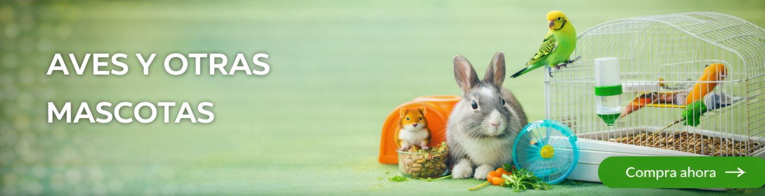 Aves y otras mascotas
